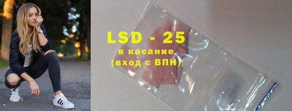 ГАЛЛЮЦИНОГЕННЫЕ ГРИБЫ Алзамай