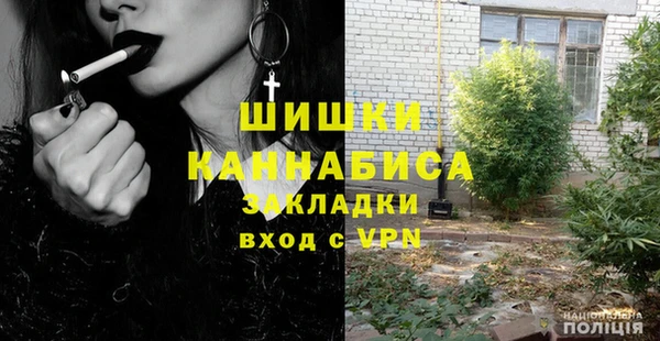 ГАЛЛЮЦИНОГЕННЫЕ ГРИБЫ Алзамай