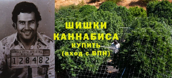 ГАЛЛЮЦИНОГЕННЫЕ ГРИБЫ Алзамай